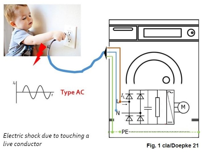Fig 1.CLA fig 21