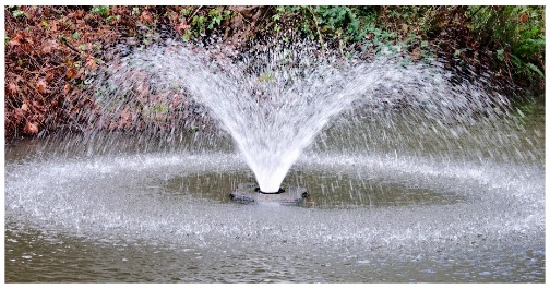 Water pumps for fountains